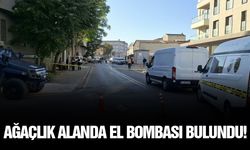 Ağaçlık alanda el bombası bulundu!