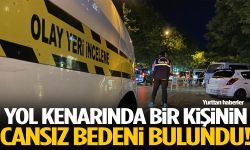 Yol kenarında şüpheli ölüm!