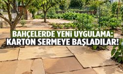 Bahçelerde yeni uygulama: Karton sermeye başladılar!