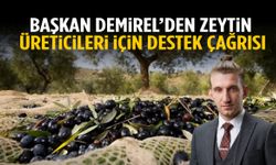 Başkan Demirel’den zeytin üreticileri için destek çağrısı