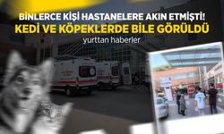 Binlerce kişi hastanelere akın etmişti! Kedi ve köpeklerde bile görüldü