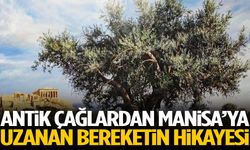 Antik çağlardan Manisa’ya uzanan bereketin hikayesi