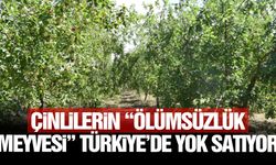 Çinlilerin “ölümsüzlük meyvesi” Türkiye’de yok satıyor