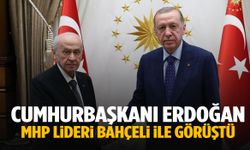 Cumhurbaşkanı Erdoğan MHP lideri Bahçeli ile bir araya geldi