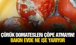 Çürük domatesleri çöpe atmayın! Bakın evde ne işe yarıyor