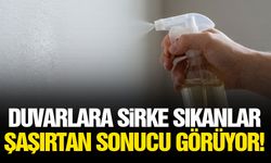 Duvarlara sirke sıkanlar şaşırtan sonucu görüyor!