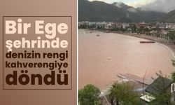 Ege'de deniz kahverengiye döndü!