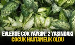 Evlerde çok yaygın! 2 yaşındaki çocuk hastanelik oldu