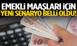 Emekli maaşları için yeni senaryo belli oldu!