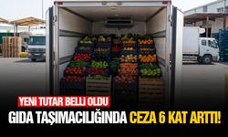 Gıda taşımacılığında ceza 6 kat arttı!