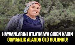 Hayvanlarını otlatmaya giden kadın ormanlık alanda ölü bulundu!