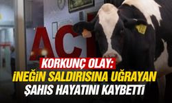 İneğin saldırısına uğrayan şahıs hayatını kaybetti