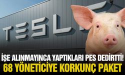 İşe alınmayınca yaptıkları pes dedirtti!
