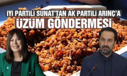 İYİ Partili Sunat’tan AK Partili Arınç’a üzüm göndermesi