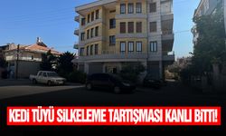 Kedi tüyü silkeleme tartışması kanlı bitti!