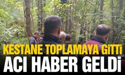 Kestane toplamaya gitti, geri dönemedi