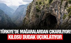 Türkiye’de mağaralardan çıkarılıyor! Kilosu dudak uçuklatıyor