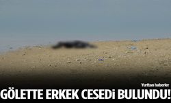 Piknik yapan vatandaşlar fark etti! Gölette erkek cesedi bulundu