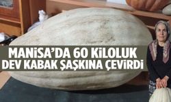 Manisa’da 60 kiloluk dev kabak şaşkına çevirdi!