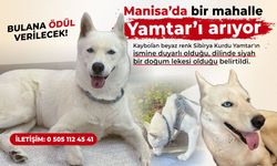 Manisa’da bir mahalle onu arıyor!