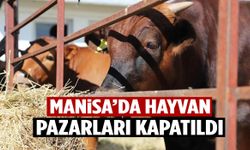 Manisa’da hayvan pazarları kapatıldı!