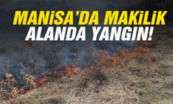 Manisa’da makilik alanda yangın paniği!