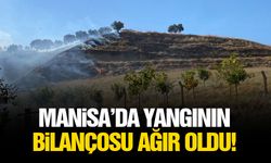 Manisa’da yangının bilançosu ağır oldu!
