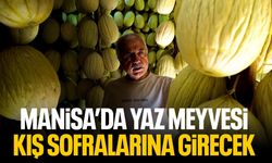 Manisa'da yaz meyvesi kış sofralarına hazırlanıyor!
