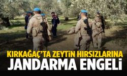 Manisa’da zeytin hırsızlığına karşı önlem alındı!