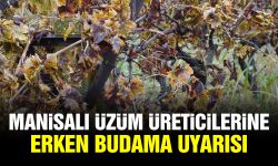 Manisalı üzüm üreticilerine erken budama uyarısı
