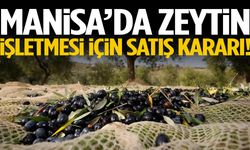 Manisa’da zeytin işletmesi için satış kararı!