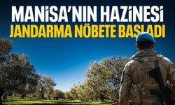 Manisa'nın hazinesi... Jandarma başında nöbet tutmaya başladı!