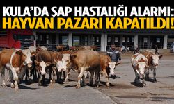 Kula’da şap hastalığı alarmı: Hayvan pazarı kapatıldı!