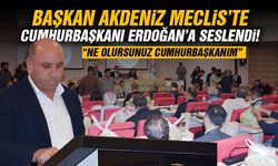Başkan Akdeniz'den Cumhurbaşkanı Erdoğan'a kuru üzüm çağrısı