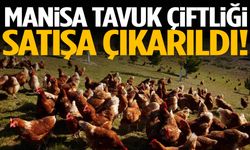 Manisa’da tavuk çiftliği satışa çıkarıldı!