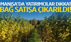 Manisa’da mahkemeden satılık bağ!
