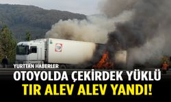 Otoyolda çekirdek yüklü tır alev aldı!