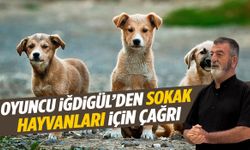 Oyuncu Semih İğdigül Manisa’da sokak hayvanları için sesini yükseltti