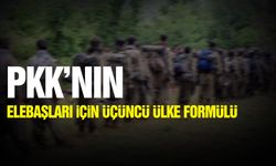 PKK'nın elebaşları için üçüncü ülke formülü