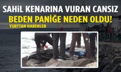 Sahil kenarına vuran cansız beden paniğe neden oldu!