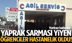 Yaprak sarması yiyen 12 öğrenci hastaneye kaldırıldı