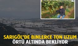 Sarıgöl'de binlerce ton üzüm örtü altında bekliyor