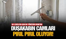 Duşakabin camları pırıl pırıl oluyor!