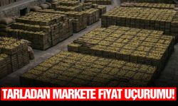 Tarladan markete fiyat uçurumu!
