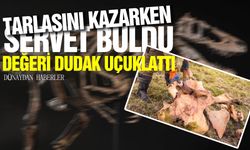 Tarlasını kazarken servet buldu, değeri dudak uçuklattı