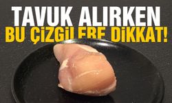 Tavuk alırken bu çizgilere dikkat!