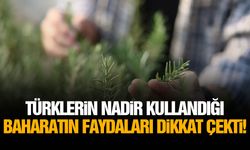 Türklerin nadir kullandığı baharatın faydaları dikkat çekti!