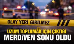 Üzüm toplamak için çıktığı merdiven sonu oldu!
