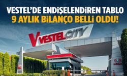 Vestel’de endişelendiren tablo! 9 aylık bilanço belli oldu