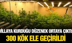 Villaya kurduğu düzenek ortaya çıktı: 300 kök ele geçirildi